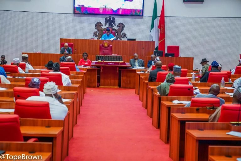 Senate queries US airstrikes in Sokoto
