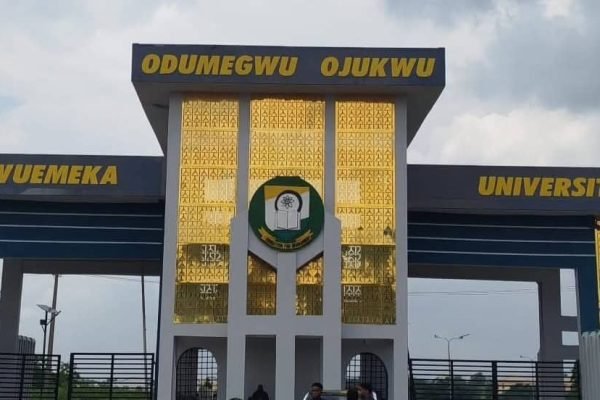 Ojukwu varsity VCship race: Council chairman Odinkalu must come clean - Okoli