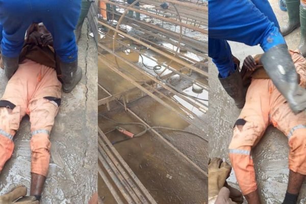 The ordeal of workers at Sterling Global Petrochemical and Fertiliser Limited (SPFL) Ikot-Abasi