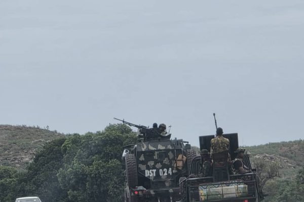 Army recovers 164 rustled livestock in Zamfara, Sokoto