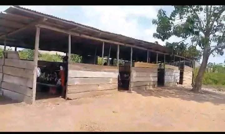 List of 36 illegal schools closed by Cross River State Government