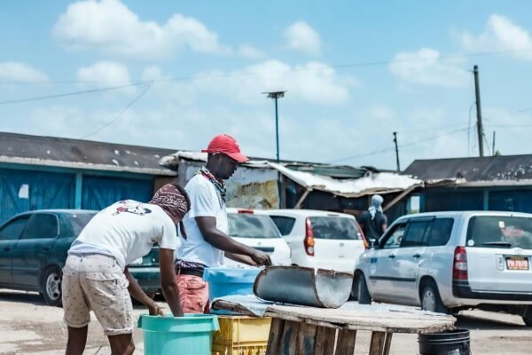 Harvesting Moon Water: A step-by-step guide