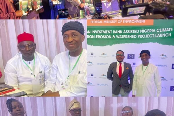 FG to fight erosion with €175 million EIB facility