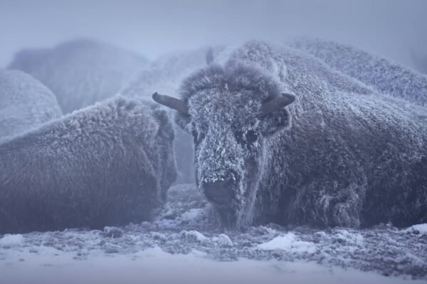 10 effective tips to stay warm during winter