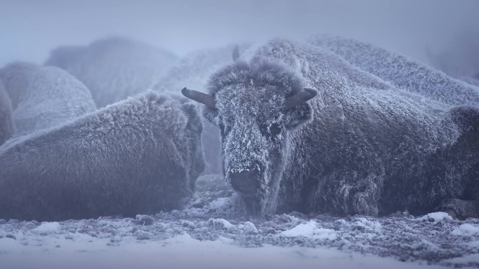 10 effective tips to stay warm during winter