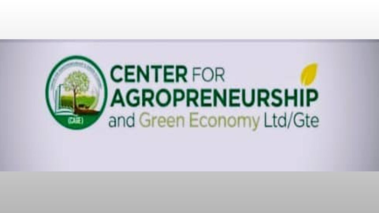 Africa Food Heroes Awards to honour personalities in agriculture, food security sectors