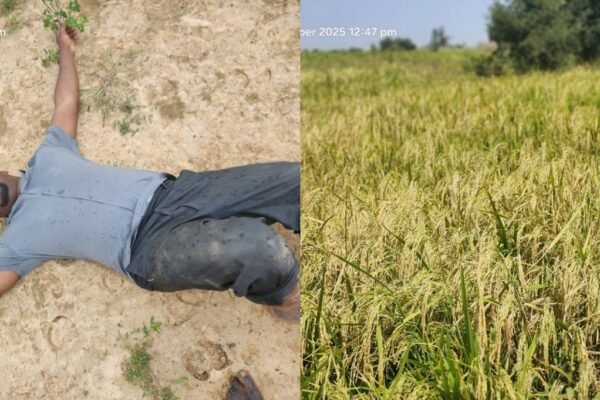 Farmer abandons work after Fulani herdsmen destroy his farmland again