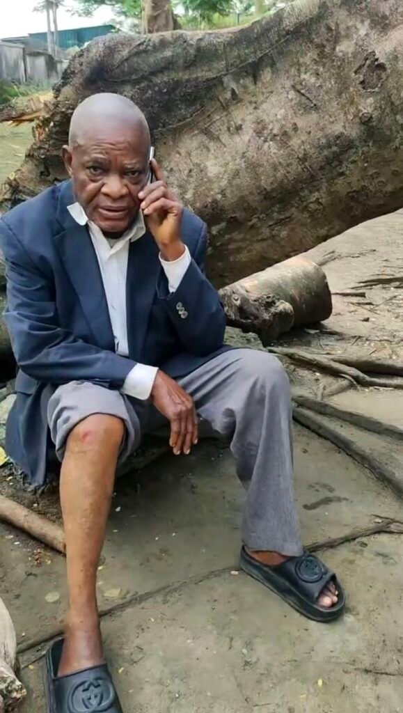 Economic tree falls on 2 keke napeps, injuring 1 in Calabar