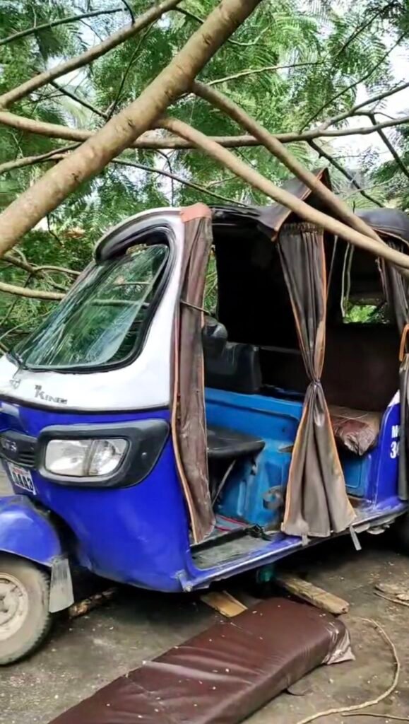 Economic tree falls on 2 keke napeps, injuring 1 in Calabar