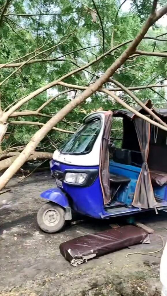 Economic tree falls on 2 keke napeps, injuring 1 in Calabar