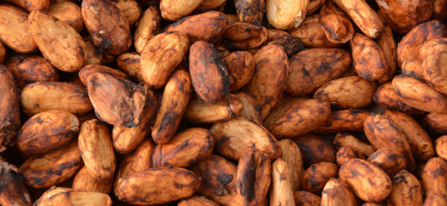 The Income Accelerator: Potential for cocoa farming in Nigeria?
