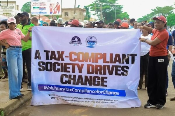 Tax Reform: Professional bodies will be our target in 2026 - IRS