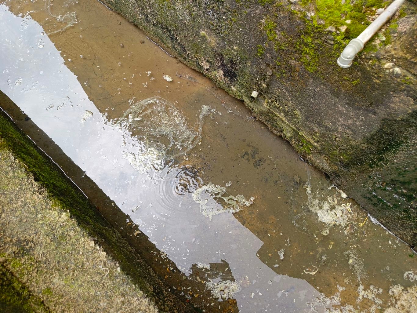 Survey exposes WASH gaps in Cross River LGA