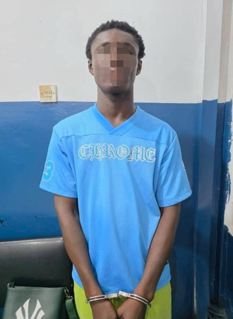 Police arrest woman seen in viral video assaulting a man