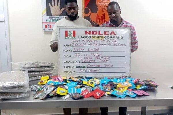 NDLEA uncovers drug syndicates selling cannabis as 'Christmas cookies' on WhatsApp