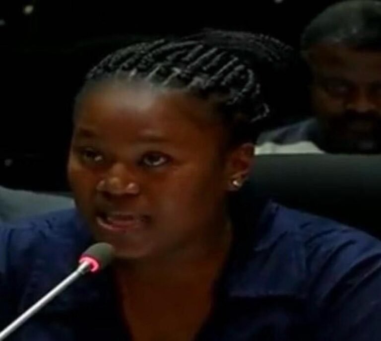 R1.4bn PIC indemnity sparks questions in SA Parliament