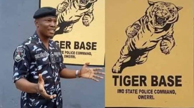 Mortuary attendant’s son reveals how police kill 2 or 3 suspects 4am daily