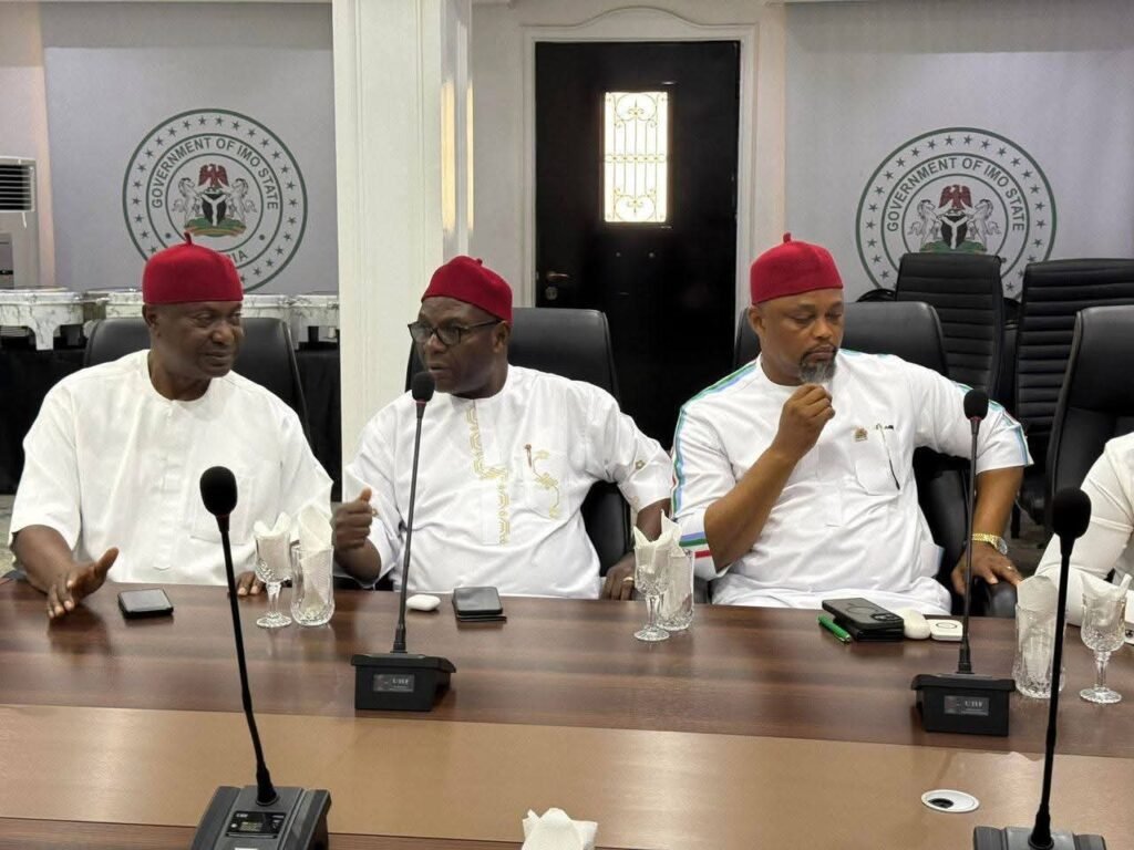 Tinubu appoints Renewed Hope ambassadors for 36 states for 2027 elections