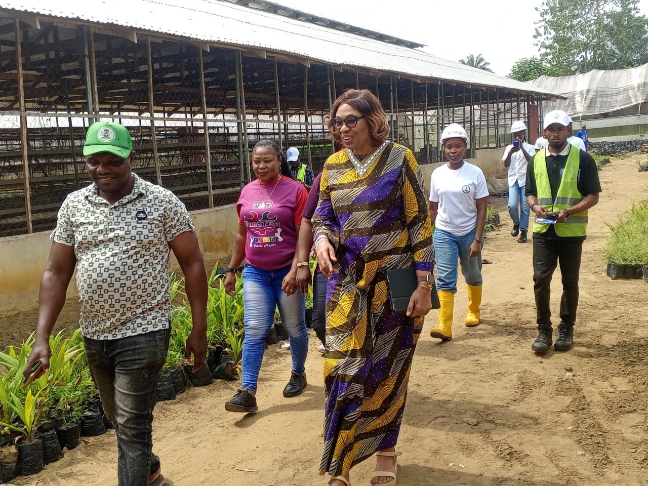 How APWEN is using young engineers to address food insecurity