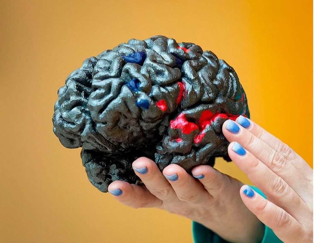 MIT neuroscientist discovers biological version of ChatGPT hidden in human brain