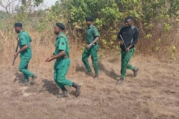FG graduates over 7,000 Forest Guards, set for immediate deployment