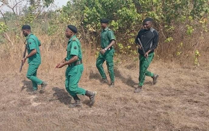 Bandits kill 5 Forest Guards in Oyo