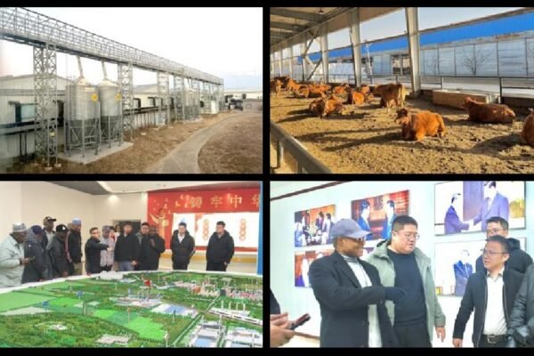 Kaduna pushes for $200m poultry investment in China