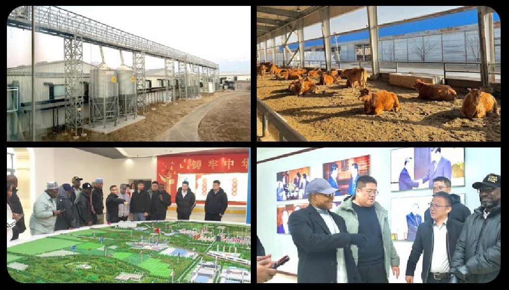 Kaduna pushes for $200m poultry investment in China