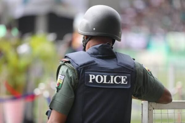 Alleged Sale of Arms to Bandits: Senior police officer commits suicide