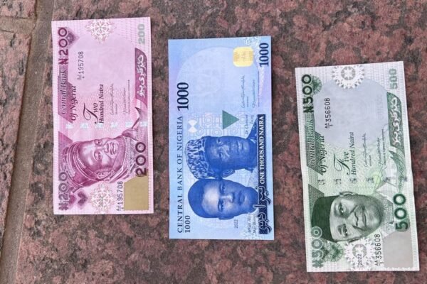 Court jails 2 for stepping on naira notes