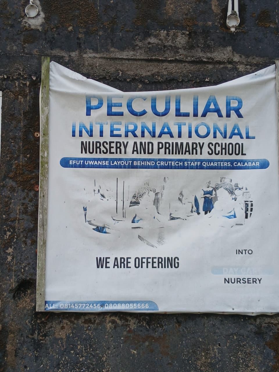 Cross River shuts down more illegal schools