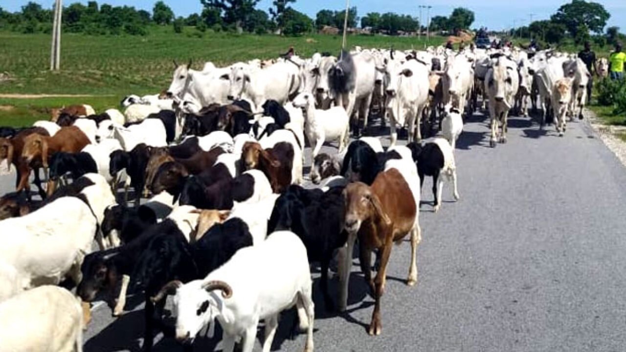 Federal Ministry of Livestock delivers vaccine to Bayelsa