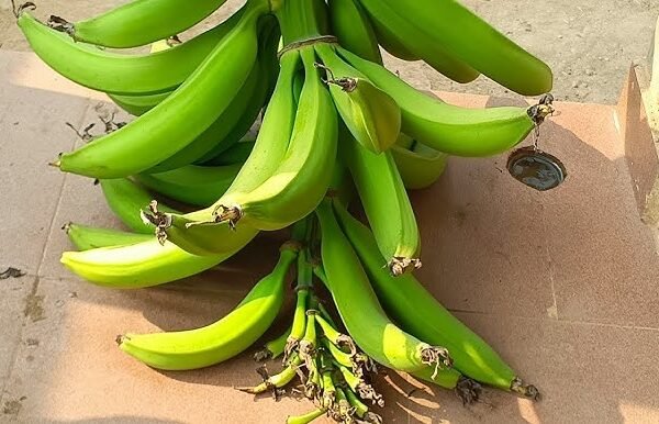 2 men kill each other over bunch of plantains in Cross River