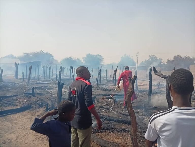 Fire ravages 3 LGAs in Yobe