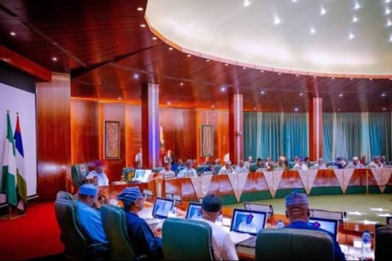 Tinubu Is a Genius and His Ministers Must Be Saints: A Budget Defence Story