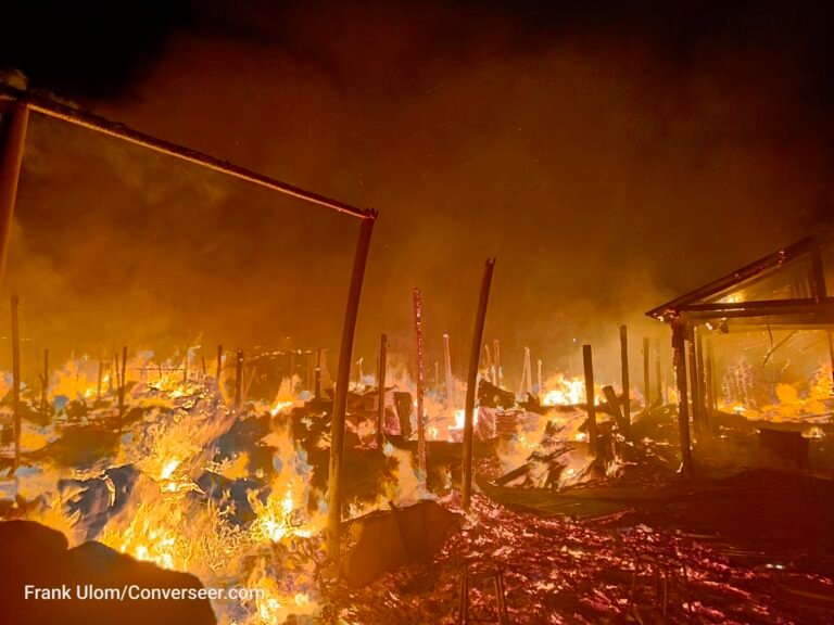 "Send down rain, Lord", business owners cry as fire guts timber market in Calabar