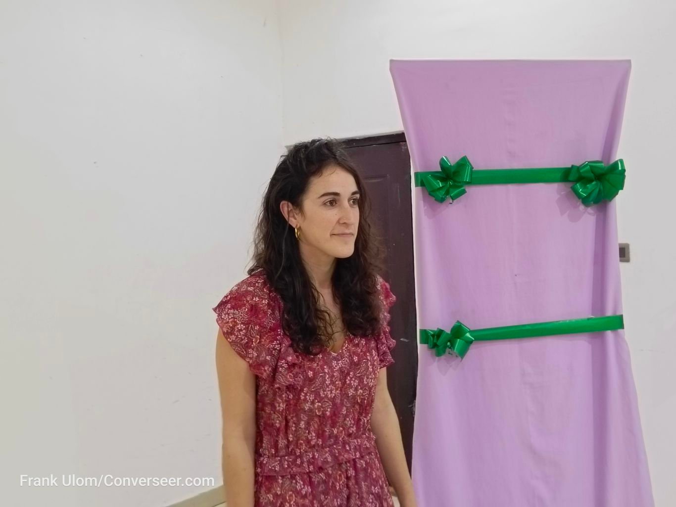 Ogoja takes centre stage as FG, others launch mhCAP-NTDs Phase 2 to improve mental healthcare