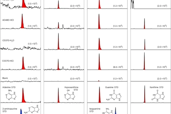 Scientists discover DNA and RNA bases on asteroid Ryugu