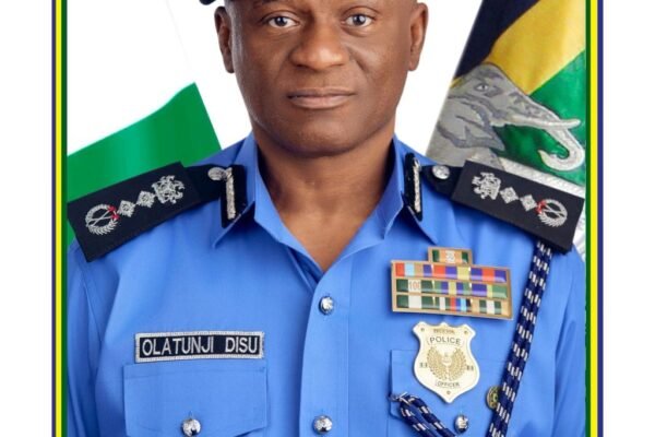 IGP Disu orders reduction, not disbandment of police units