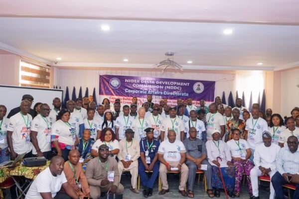 NDDC tasks stakeholders, youths on ownership of community projects