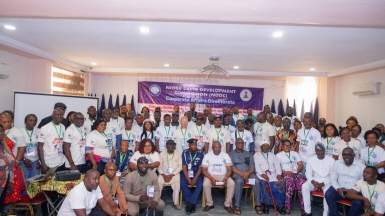 NDDC tasks stakeholders, youths on ownership of community projects