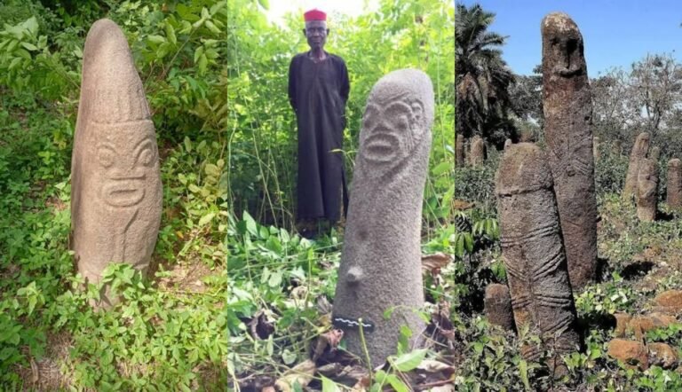 CRSHA seeks ban on illegal logging of wood at monolith sites