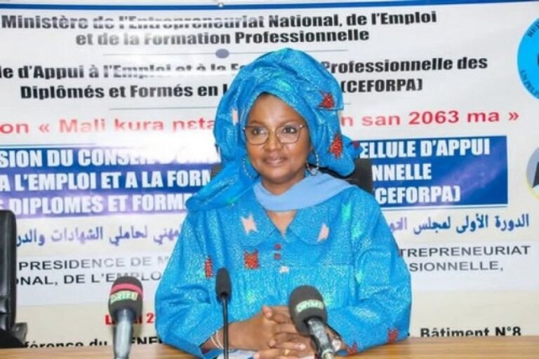 Mali strengthens employment support for Arabic-speaking graduates