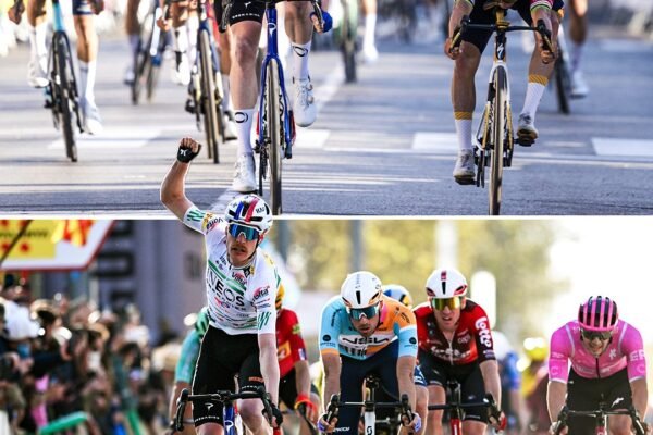 Report: Tour de France start in Germany would cost around €25 million