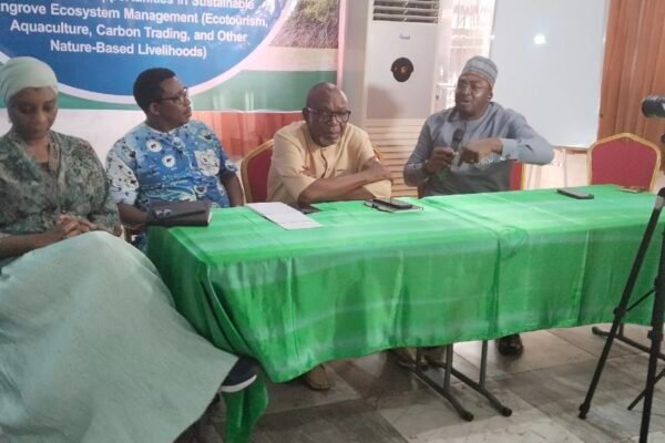 Ecotourism: Cross River highlights economic value of mangrove ecosystems